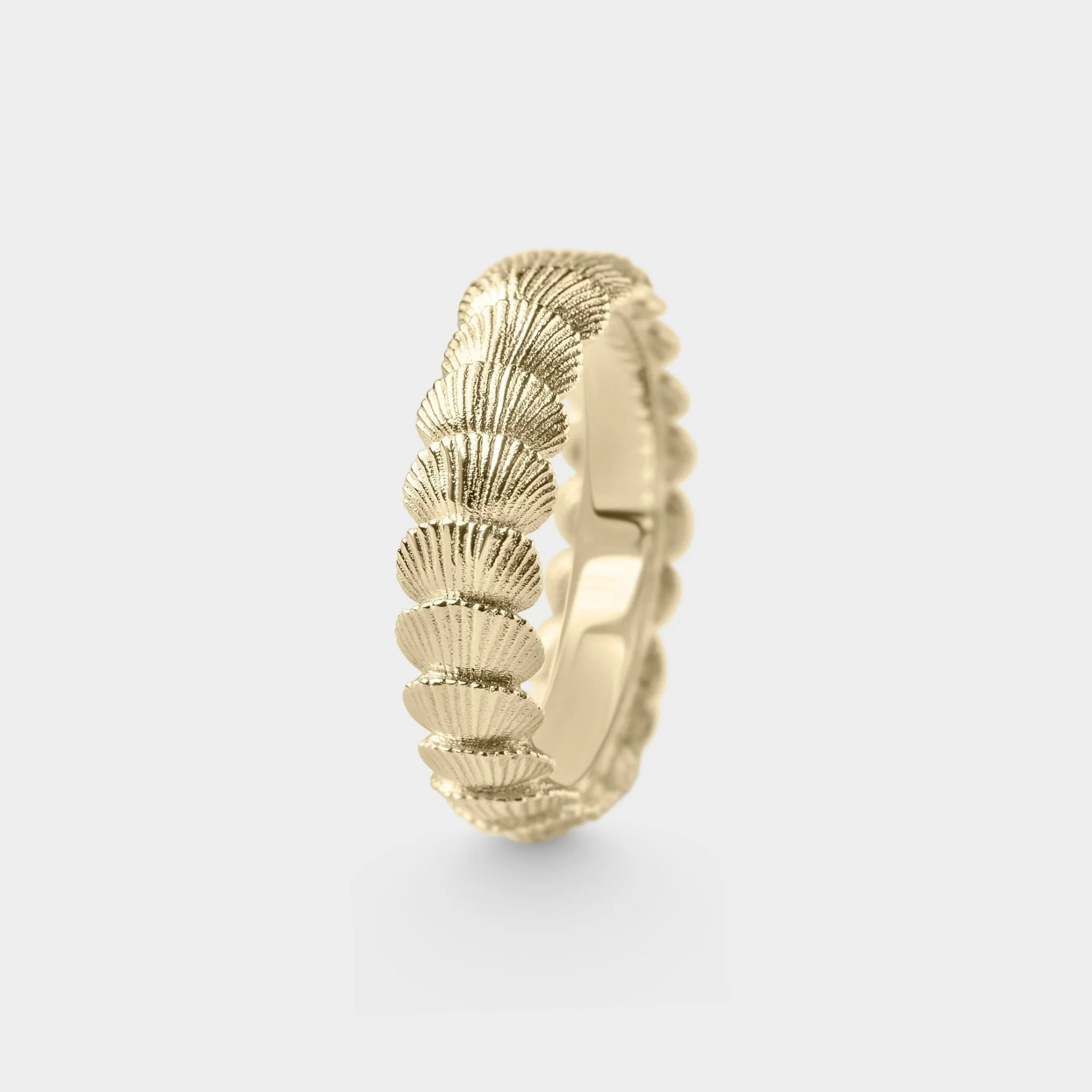 Organic Shell Band