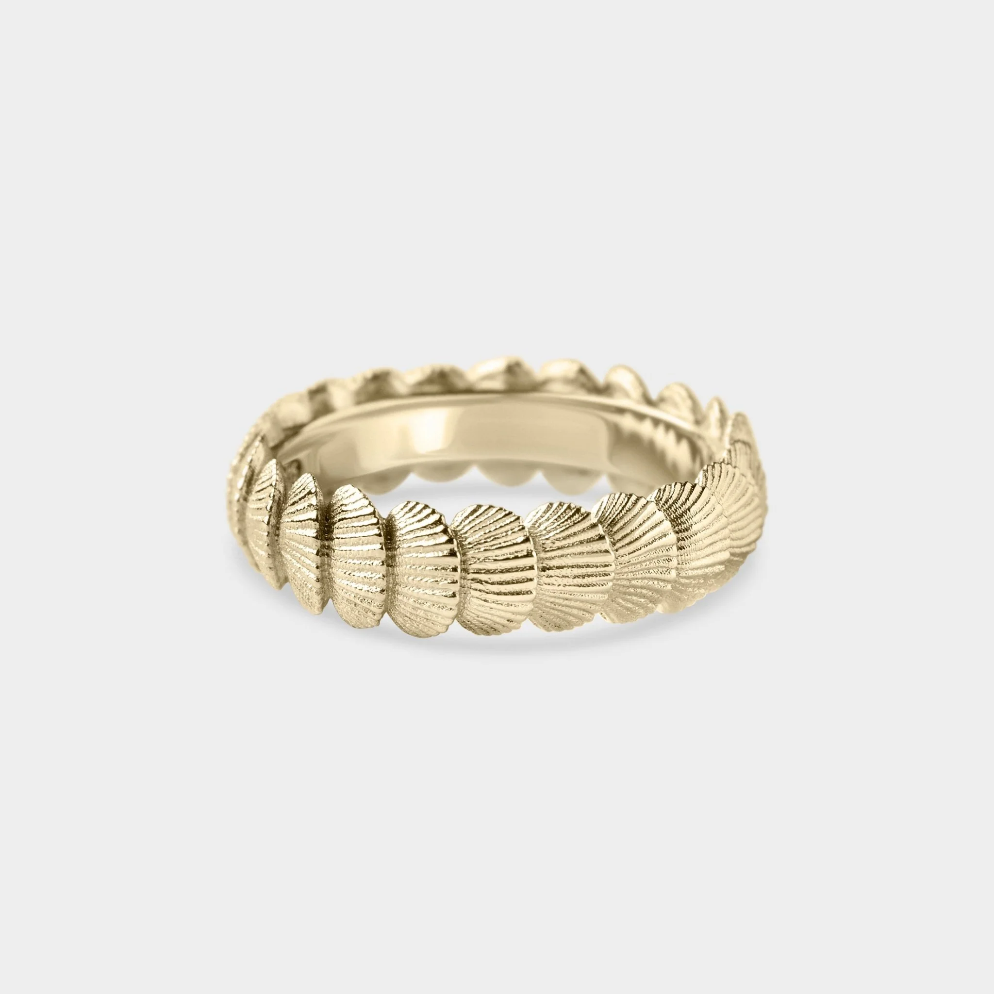Organic Shell Band - Image 2